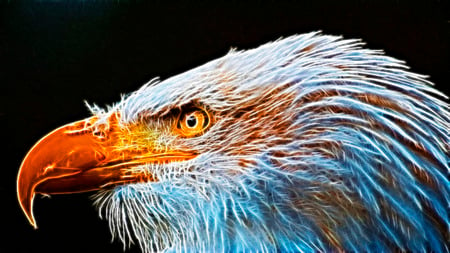 The Great Eagle - abstract, colorful, eagle, birds, beauty, fractal, animals