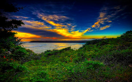 You Done It Again - sky, colorful, nature, clouds, island, tree, ray, grass, sea