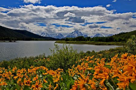 Flowers - flowers, sky, nature, water