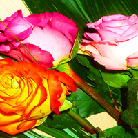 For All Dear Friend