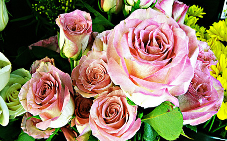 Friendship Remain And Never Can End-FRANCE - loving, romantic, friendship, beauty, flower, boutique, leaves, caring, rose