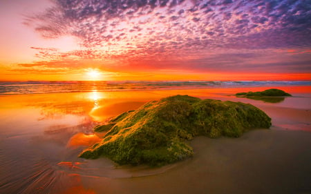 Do You Miss Me - sky, beach, reflection, clouds, ray, sunrise, rocks