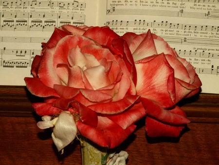 song of roses  - roses, red, music, flowers, rose, flower