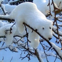 Cool Ice Work