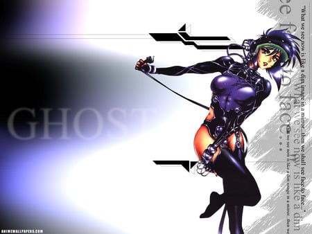 Ghost In The Shell - ghost-in-the-shell, picture, cool