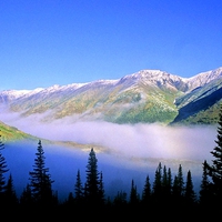 MOUNTAIN MIST