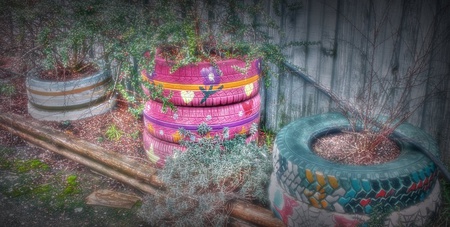 dusty pink - flower, tire, garden