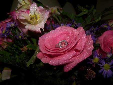 Ring and roses - flowers, ring, rose