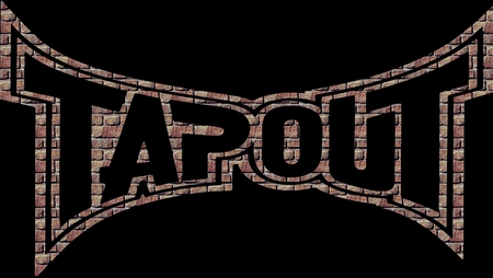 TapouT (Bricks) - mma, tapout, ufc