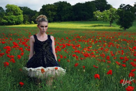 Pretty gilr - poppies, female, beautiful, photography, girl, red, woman, model, face, field, sexy