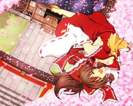 Hakurei Reimu - anime, ponytail, cherry blossoms, girl, brown hair, petals, long hair, japanese clothes, touhou, cute, barefoot, miko, hakurei reimu, sexy