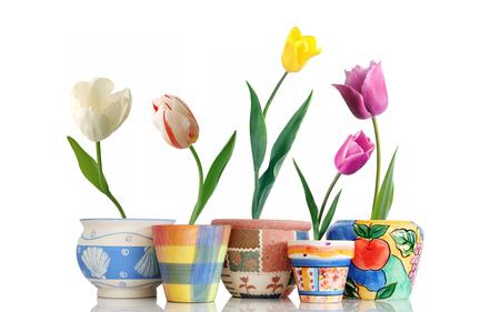 Tulips - flowers, flower pots, tulips, nature