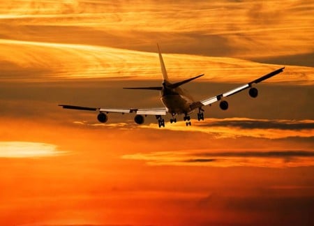 Plane w Sunset - cool, plane w sunset, picture