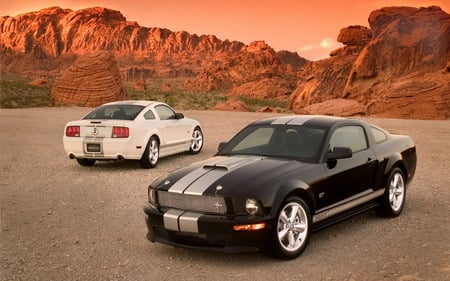 Shelby GT - gt, cars, shelby, car