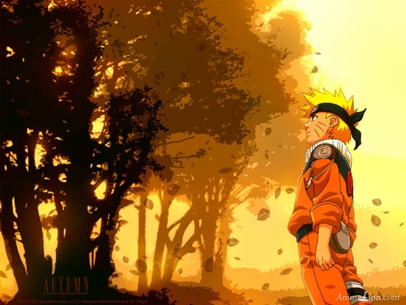 	Naruto_Autumn - naruto