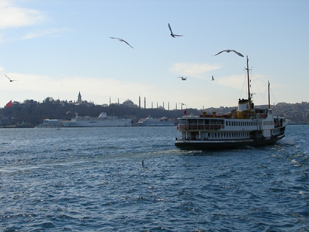 a winter day in Istanbul Turkey - istanbul, turkey, winter, seagulls, day