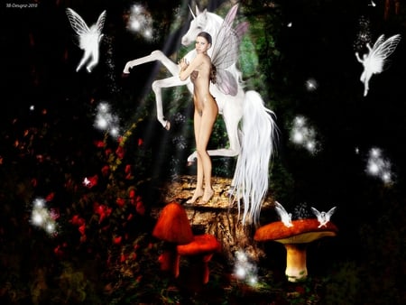 Some Enchanted Evening - evening, fairy, enchanted, unicorn