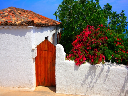 Facade with wooden gate and wall covered with red bougainvillae - gate, wooden, facade, bougainvillae, red, wall