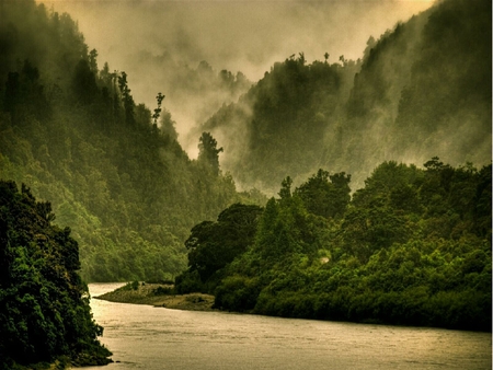 Foggy New Zealand - foggy, green, new zealand