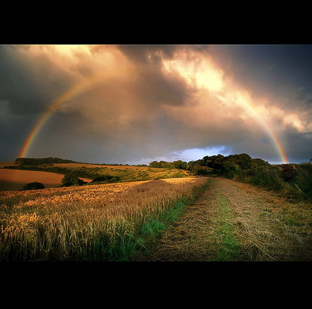 RainBow - nature, rainbow, hot, field, scene