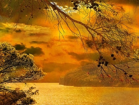 Gold - waterscape, trees landscape, abstract, art, cg, fantasy, seascape, clouds, 3d, sunset