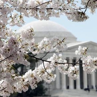 Thomas Jefferson Memorial