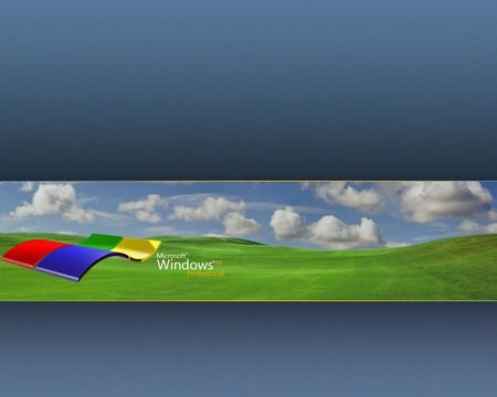 XP PROFESSIONAL - technology, windows, xp