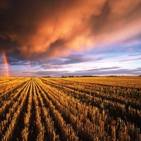 Stubble field beneath the clouds