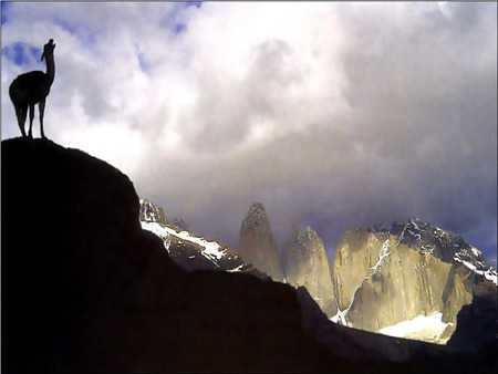 Look to the sky - dromedary, peak, clouds