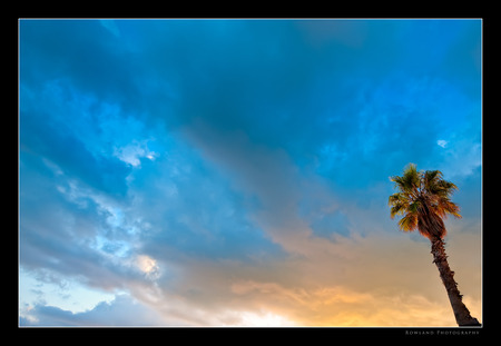 Touching the sky - sky, palm, clouds