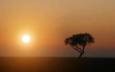 California sunset - sunset, california