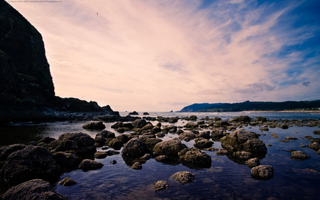 Cannon beach - photo, beach