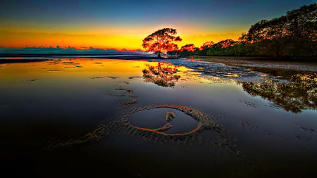 The Flame Tree - ember, lake, reflection, forest, ray, tree