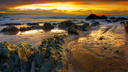 Treasure Beach - sky, beach, reef, golden, ray, sunset, wave, rocks