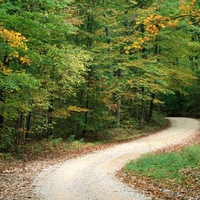 Country Road in Autumn Nashville Indiana