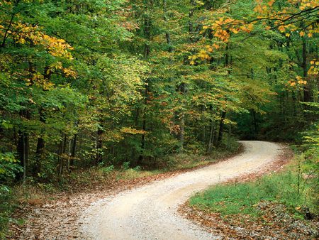 Country Road in Autumn Nashville Indiana - indiana, autumn