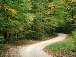 Country Road in Autumn Nashville Indiana