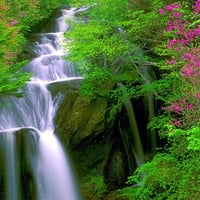 Cool Waterfall