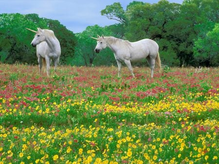 Magic-Meadow - flowers, unicorns