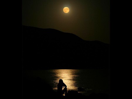 Moon Light - picture, cool, moon light