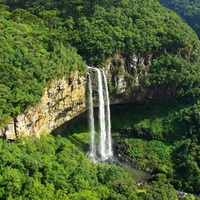 mountain forest waterfall