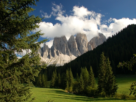 Odles - nature, mountain, trees, odles