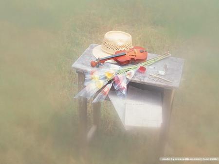 Dreamy love music - nice, guitar, romantic, hat, table, flowers, dreamy