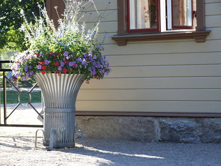 Spring memories - pot, nice, plant, flowers, shadows, window