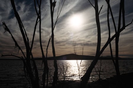 sunset - river, sunset, nature, tree