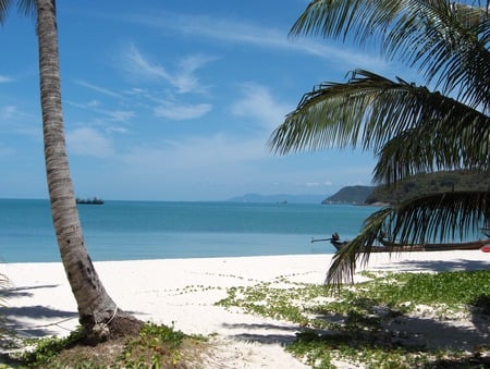 tropical beach - palms, nature, tropical, beach, sea