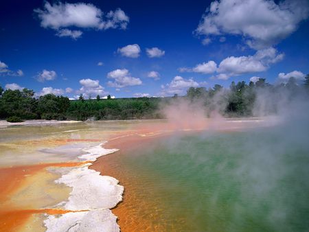 Champagne pool Waiotapu - greenery, water, foam, beautiful, hot spring, scared, orange, green, mist, waves