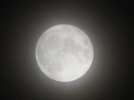 Full Moon - foggy, moon, night, lunar