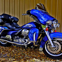 Harley Davidson Blue