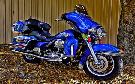 Harley Davidson Blue - blue, beauty, harley-davidson, cool, motor bike